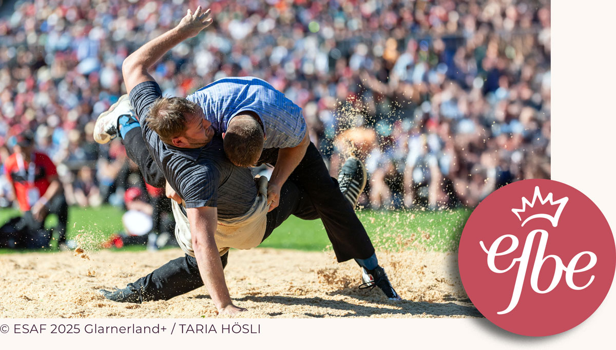 Divi WooCommerce Layout